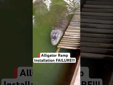 Alligator Ramp Installation FAILURE!!! 😱🐊#shorts #alligator