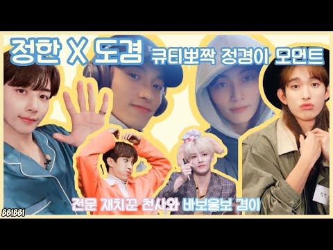 [세븐틴/정한/도겸] 서로 너무 좋아하는 정겸이 모먼트 | 1004 형과 바보 동생 | 석하다착 정한이 없으면 사기 당해 | 👼🐴