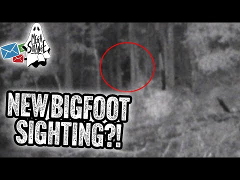 You Won’t Believe This Bigfoot Sighting : Mega Strange Mailbox #22