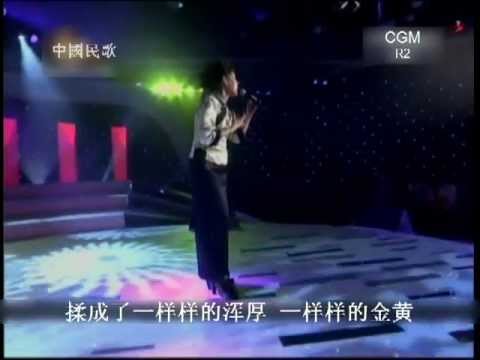 cgm2012 R2-C02 张美凤-黄河黄