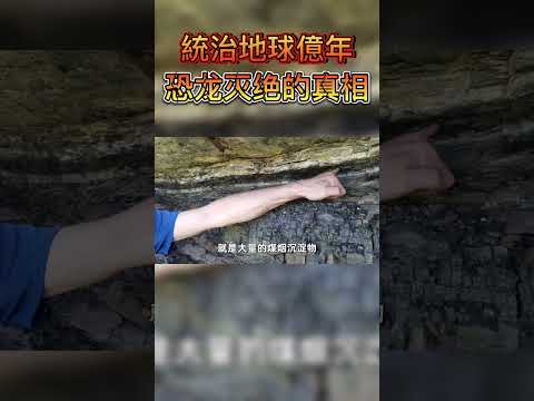 恐龍為何會突然滅絕？#shorts #恐龍 #曉涵哥 #科普