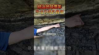 恐龍為何會突然滅絕？#shorts #恐龍 #曉涵哥 #科普