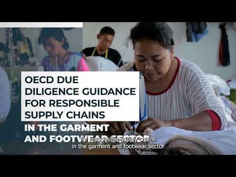 OECD Due Diligence Checker for Responsible Supply Chains in Garment and Footwear