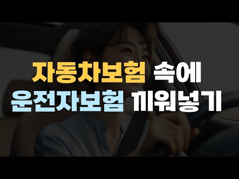 자동차보험과 함께 가입하는 법률담보(운전자담보) 우리가 아는 운전자보험과 뭐가 다를까?