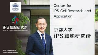 京都大学部局紹介映像【iPS細胞研究所】 Introduction Video Center for iPS Cell Research and Application, Kyoto-U