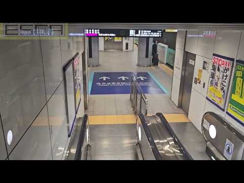 Rinkai Line Shinagawa Seaside Station Escalator Down to Toshiba platform floor