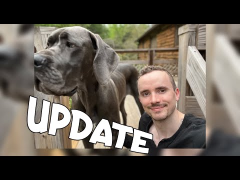 Great Dane Update