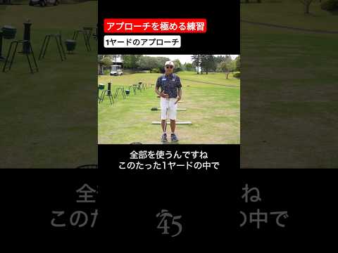 アプローチを極める1ヤードの練習方法 #片山晋呉 #golf #ゴルフ #shorts