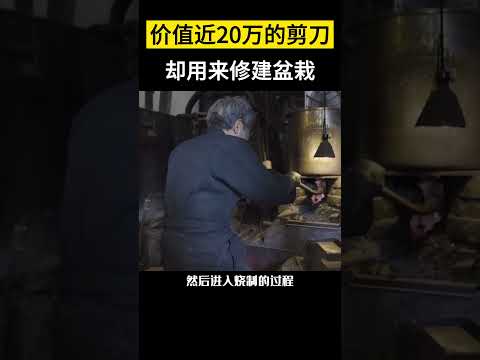 【科技趣闻】价值近20万的剪刀，却用来修建盆栽 #shorts