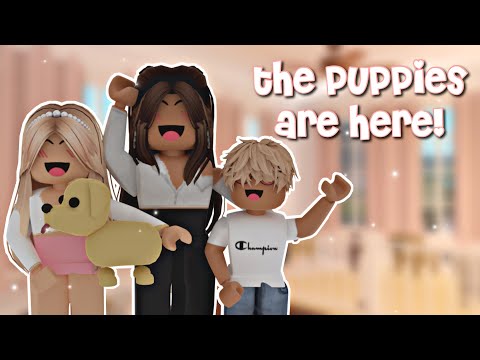 THE PUPPIES ARE HERE! 🐶 *emotional* | The Simple Family ⭐️