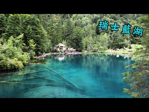 瑞士 藍湖Blausee 少女愛情的藍淚水