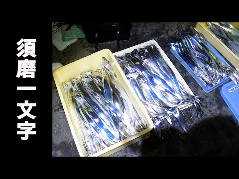 11月に本気でタチウオの数釣りしてみた結果【須磨一文字】