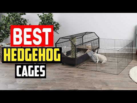 ✅The 5 Best Hedgehog Cages of 2023