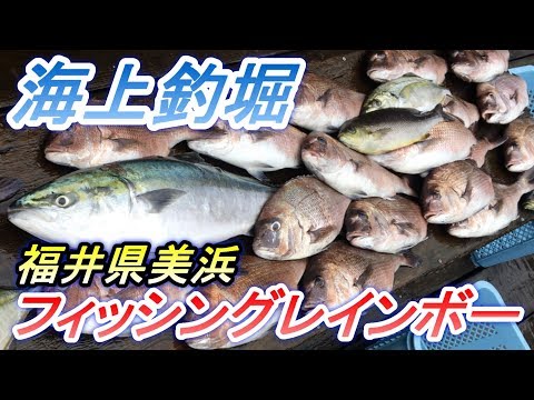 大人気！【海上釣堀】フィッシングレインボーが予約でいっぱい！何とかマス貸切した釣果！！