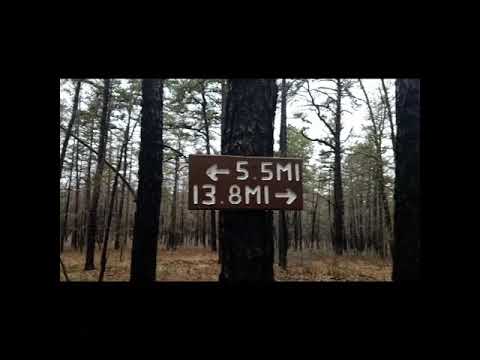 Forest Fire Walk Though The Pine Barrens