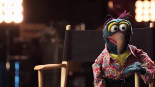 Gonzo's Dating Profile - The Muppets