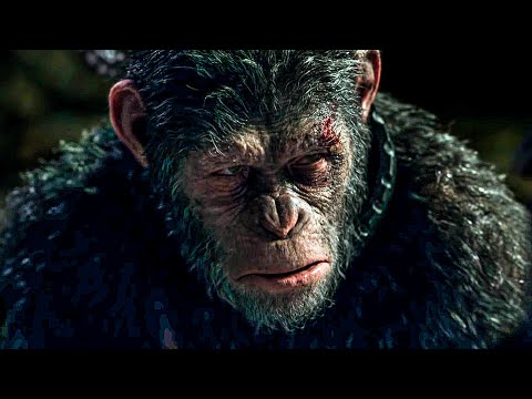 “I Came For You!” | War for the Planet of the Apes