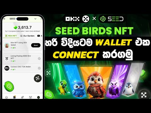 Seed airdrop NFT mint | seed telegram mining project | seed OKX wallet connect | seed NFT