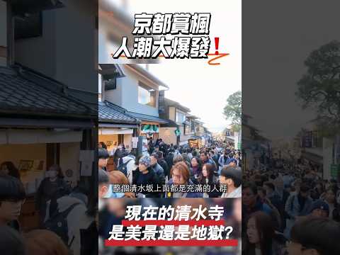 京都賞楓人潮大爆發❗現在的清水寺是美景還是地獄？｜shorts #japan #日本旅行 #日本 #旅遊