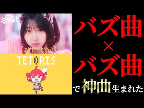 『かわいいだけじゃだめですか？』×『テトリス』バズ曲とバズ曲合わせて歌ってみたら神曲になる説【シェル】