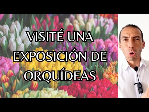 VISITÉ UNA EXPOSICIÓN DE ORQUÍDEAS