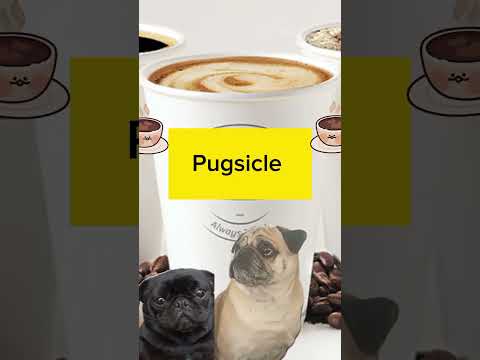 funny pugs dumb response to a coffee date funny silly humour