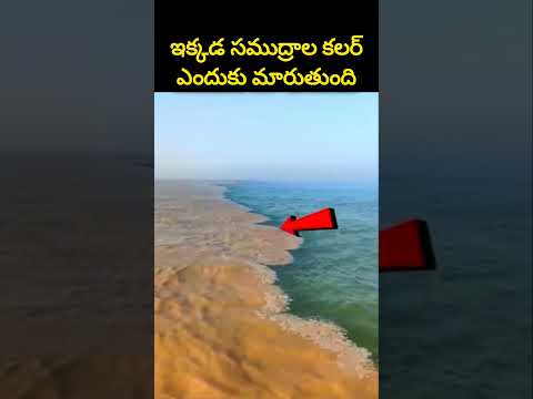 వింత సముద్రాలు ఒకచోట 🌊కలర్ ఎందుకు మారుతుంది?? #shorts #facts