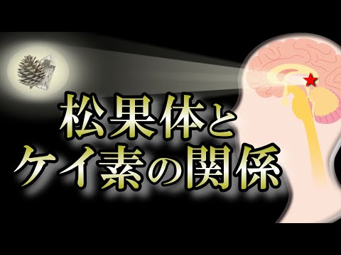 【第三の目】松果体を活性化させると眠っていた感覚が目を覚ます！【third eye】