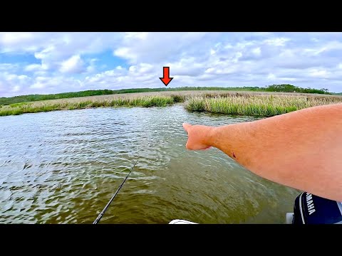 Catch MORE! Saltwater Fish Using THIS Technique! *EASY Fishing*