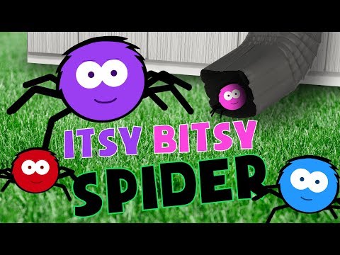 ITSY BITSY SPIDER SONG | Nursery Rhymes for kids | PRESCHOOL SONGS