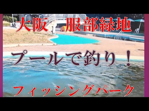 浜寺公園フィッシングパークに移動！何とプールが釣り堀！服部緑地ウォーターランド　フィッシングパーク　大阪釣り　マス、トラウト、アマゴ、イワナ  ゴーセンGOSENさんが運営