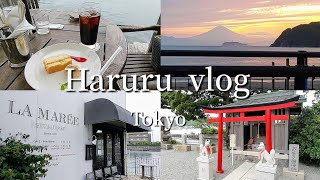 【vlog 】梅雨前に葉山ドライブ♪/コストコ購入品/ニットカフェ/森戸神社/ラ・マーレでランチ/Hayama