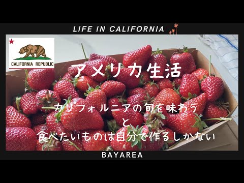 【アメリカ生活】カリフォルニアの旬を味わう｜食べたいものは自分で作るしかない｜アメリカ在住中日本人｜