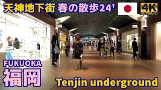 4K【Fukuoka Walking Tour／福岡博多】24 天神地下街春の散歩2024｜Tenjin Underground Mall｜Japan｜Kyushu｜九州｜旅行｜観光｜街歩き