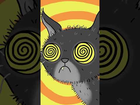 HYPNOCAT HAS SPOKEN!😵‍💫🐈🧎