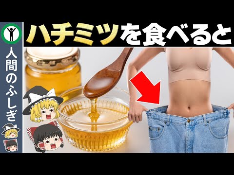 ハチミツを飲んだら体に起こる驚きの変化【ゆっくり解説】