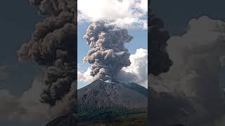 Sakurajima Volcano HUGE Shockwave Eruption Aug 21 2024 #shorts