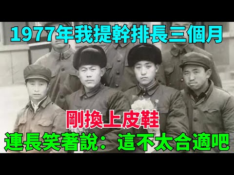 1977年我提幹排長三個月，剛換上皮鞋，連長笑著說：這不太合適吧【流星奇聞】#奇聞#故事#奇聞觀察室#案件解讀#情感#家庭矛盾