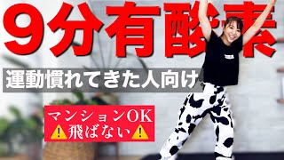 【中級者向け９分】マンションOK!! 全身使う有酸素運動！〜痩せるダンス〜