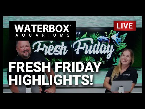 Episode 167: Fresh Friday Highlights