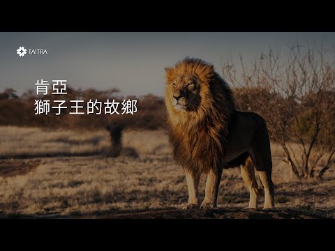 肯亞─獅子王的故鄉