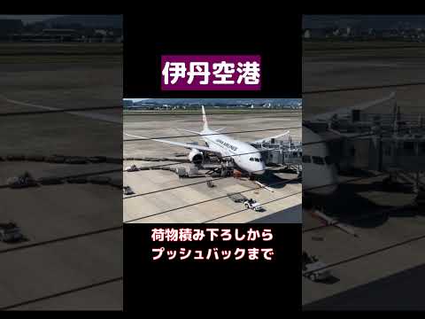 【伊丹空港】積み下ろしからプッシュバックまで　#伊丹空港 #空港 #飛行機 #JAL #ITM