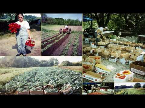 Rooted in Ferguson, Growing Food, Farmers and Community: EarthDance - Molly Rockamann