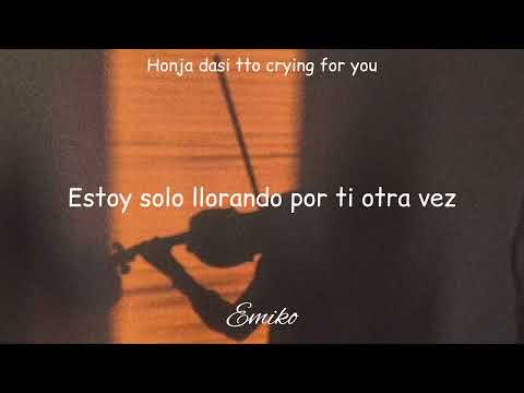 「내 머리가 나빠서」Because I'm stupid - SS501 [Sub español, Lyrics]