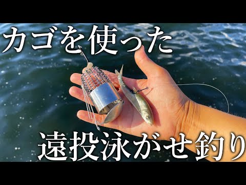 生きた小魚を格納して遠投できる！高級魚まで釣れるカゴ仕様の遠投泳がせ釣りを紹介します