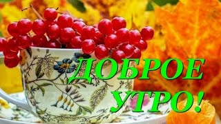 С Добрым Утром! Красивое Пожелание Доброго Утра!