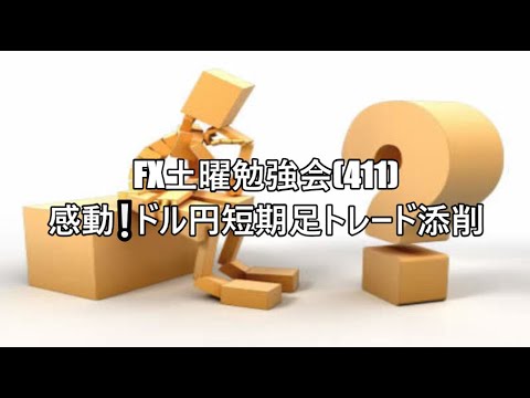 FX土曜勉強会(411)感動❕ドル円短期足トレード添削