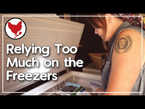 Relying Too Much on the Freezers | Vlog