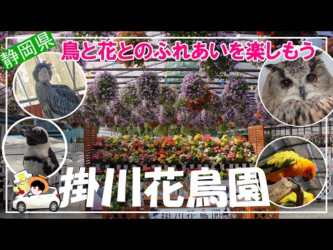 【掛川花鳥園】インターからも近くアクセス抜群の施設。老若男女問わず楽しめます。