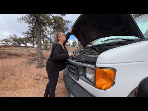 VanLife Reset and Installing my Bluetti Charger 1 Alternator Charger (DC to DC)